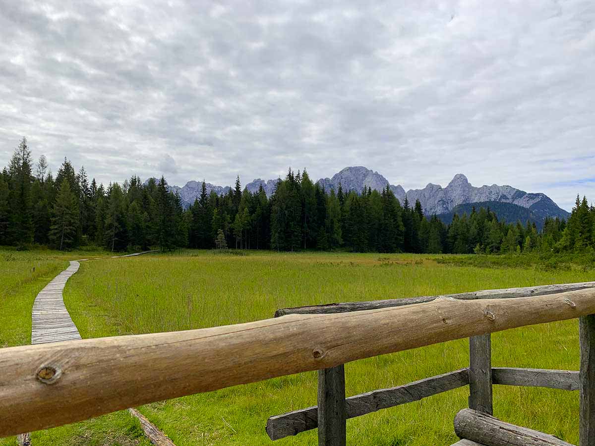 danta torbiera val di ciampo