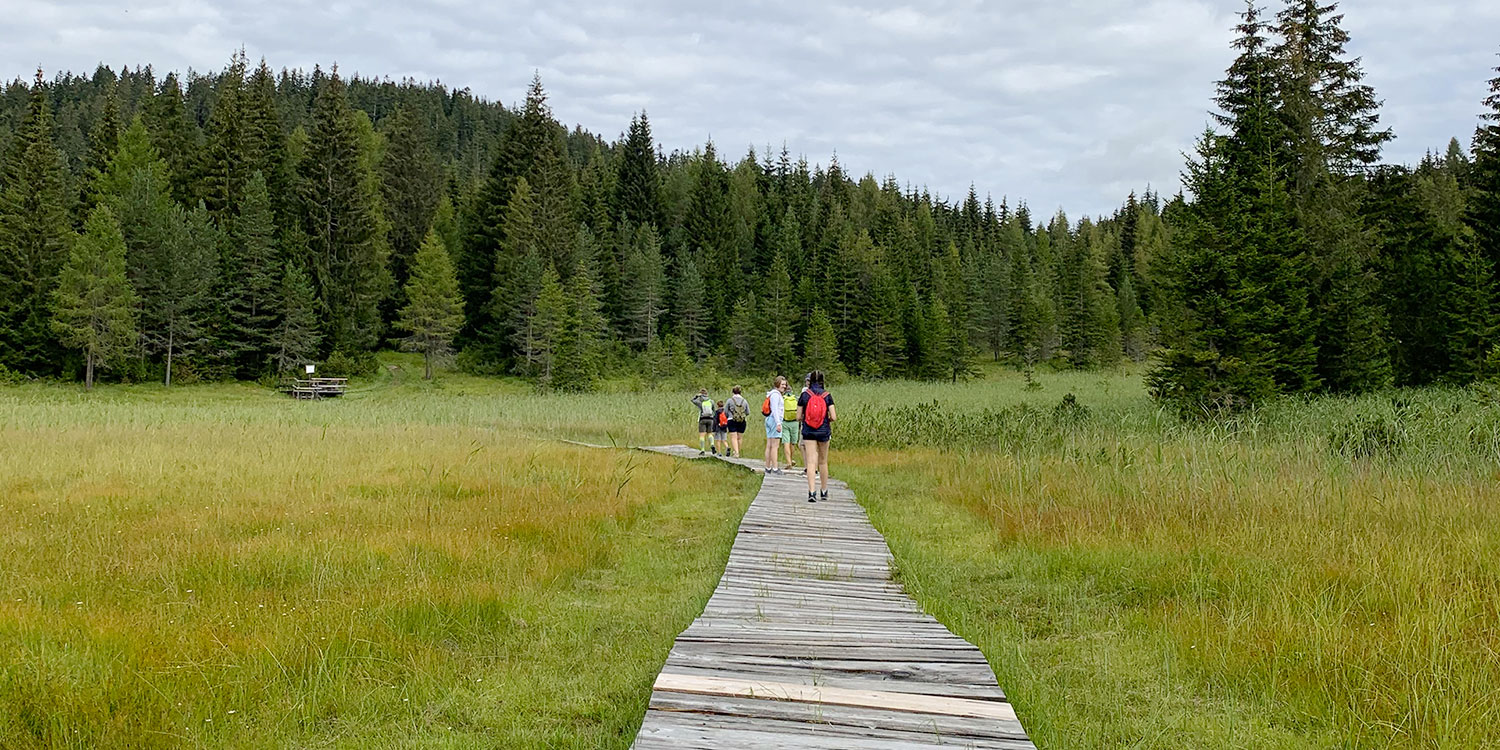 Torbiera di Danta - percorso nel bosco con gruppo di persone