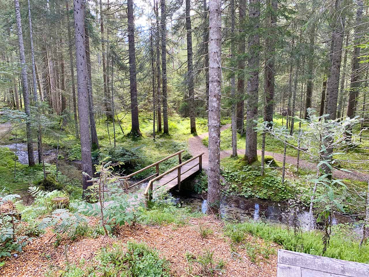 Pralongo - Auronzo passeggiata verso torrente Ansei ponte legno