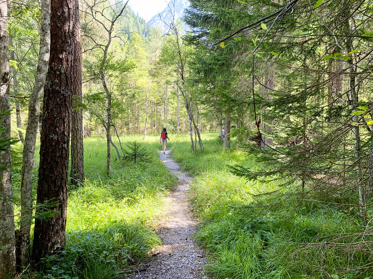 Pralongo - Auronzo passeggiata verso torrente Ansei