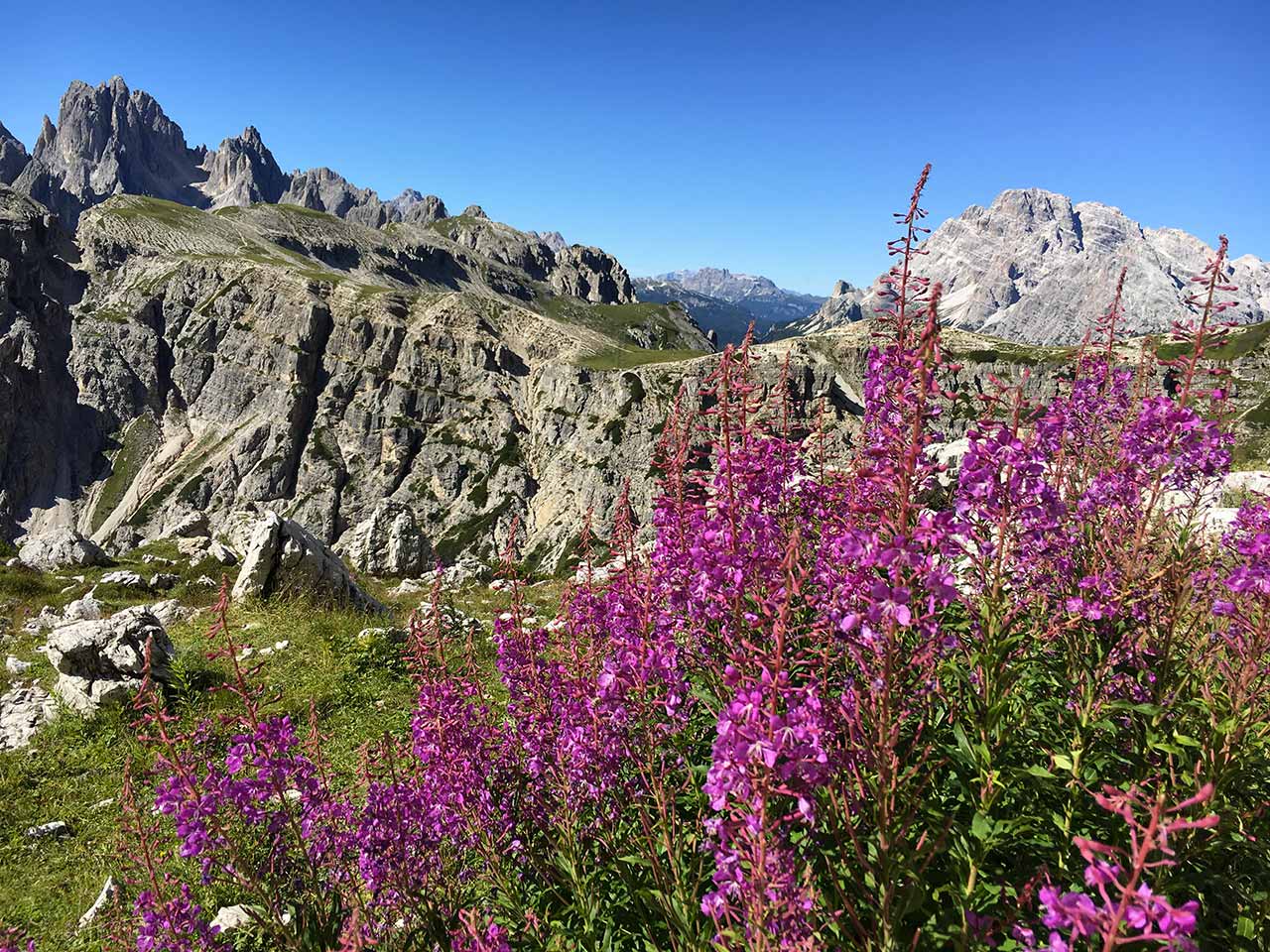 Tre Cime Fiori e montagna