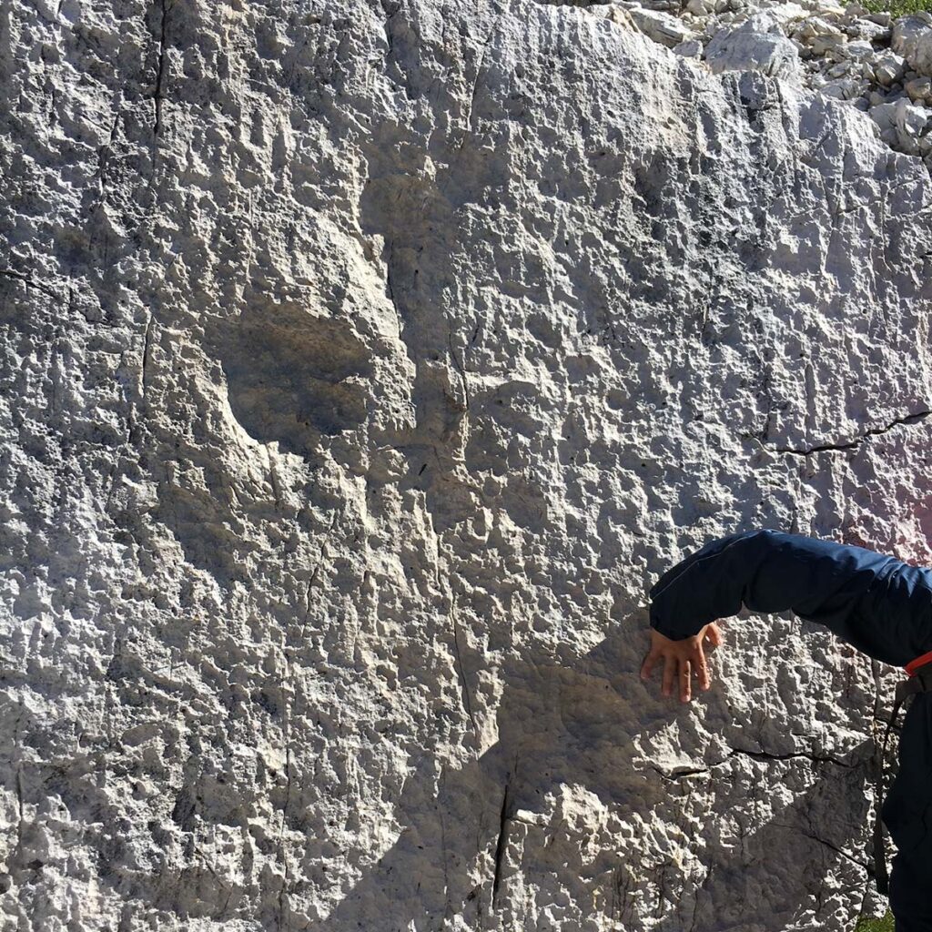 impronte di dinosauri nella roccia delle Dolomiti