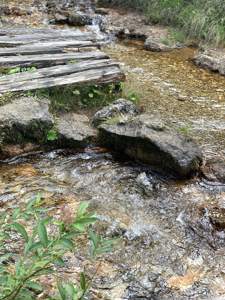 Sorgente di Lagole