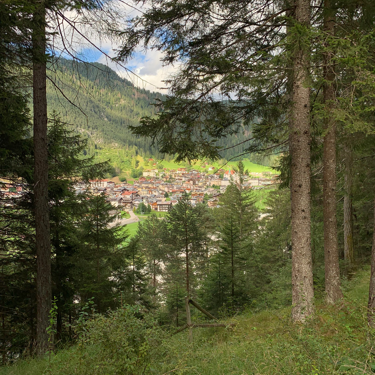 Auronzo sentiero numero 4 Proazei - vista